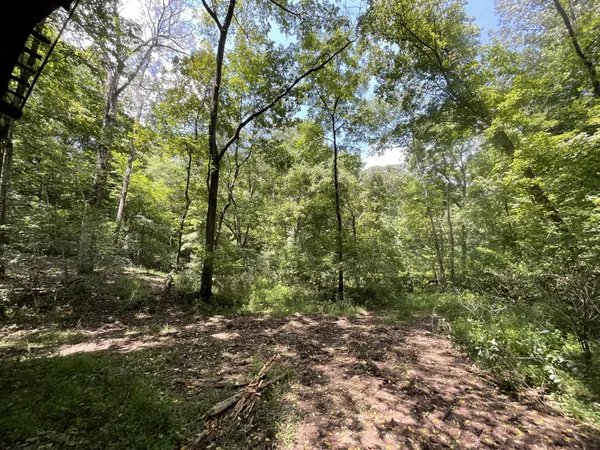 $136,000 | 5 Lyle Hollow Road, Palmyra, TN 37142