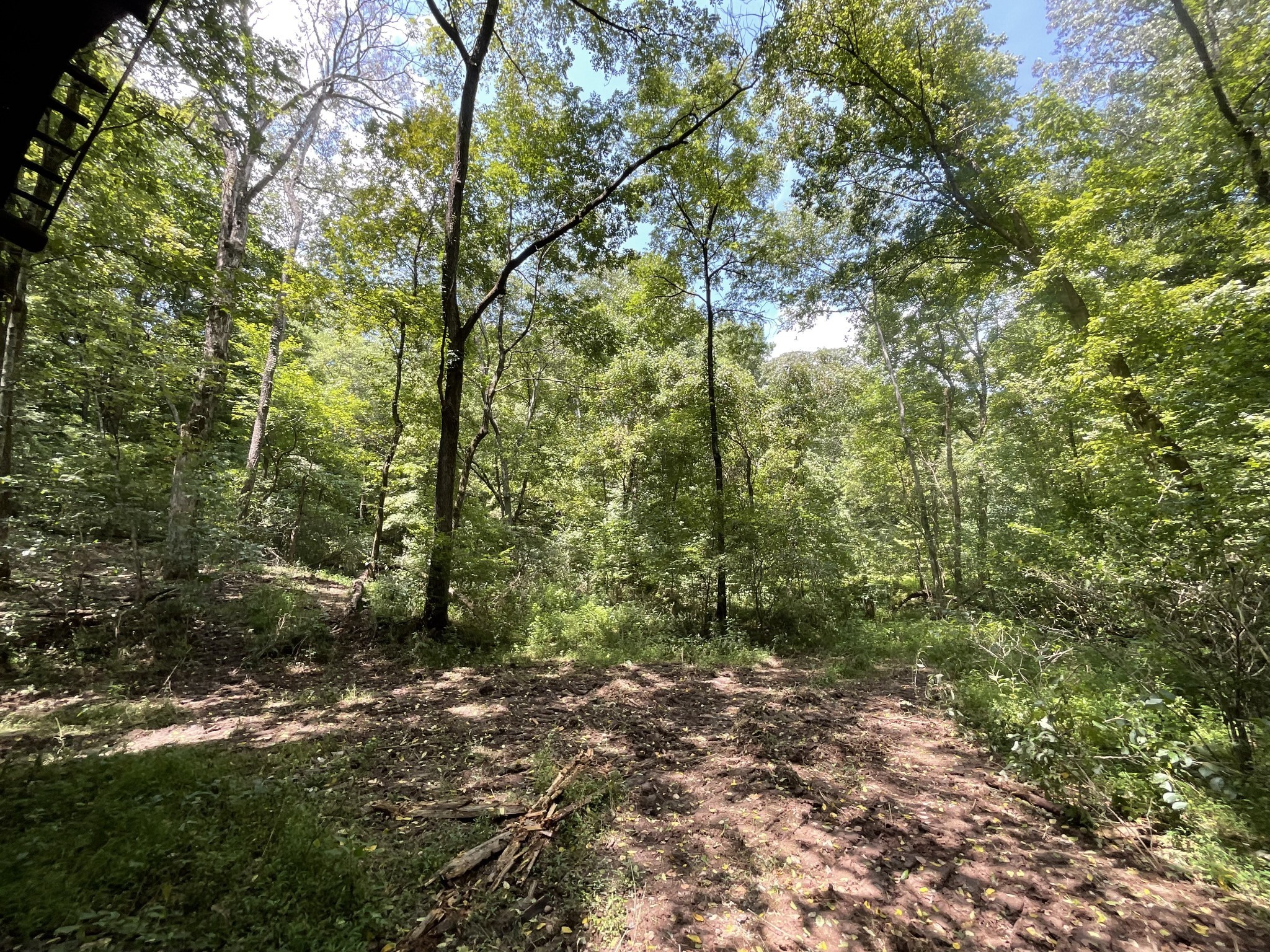 5 Lyle Hollow Road Palmyra, TN 37142 - Photo 26 of 57 Gallery Image 26