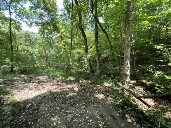 $136,000 | 5 Lyle Hollow Road, Palmyra, TN 37142