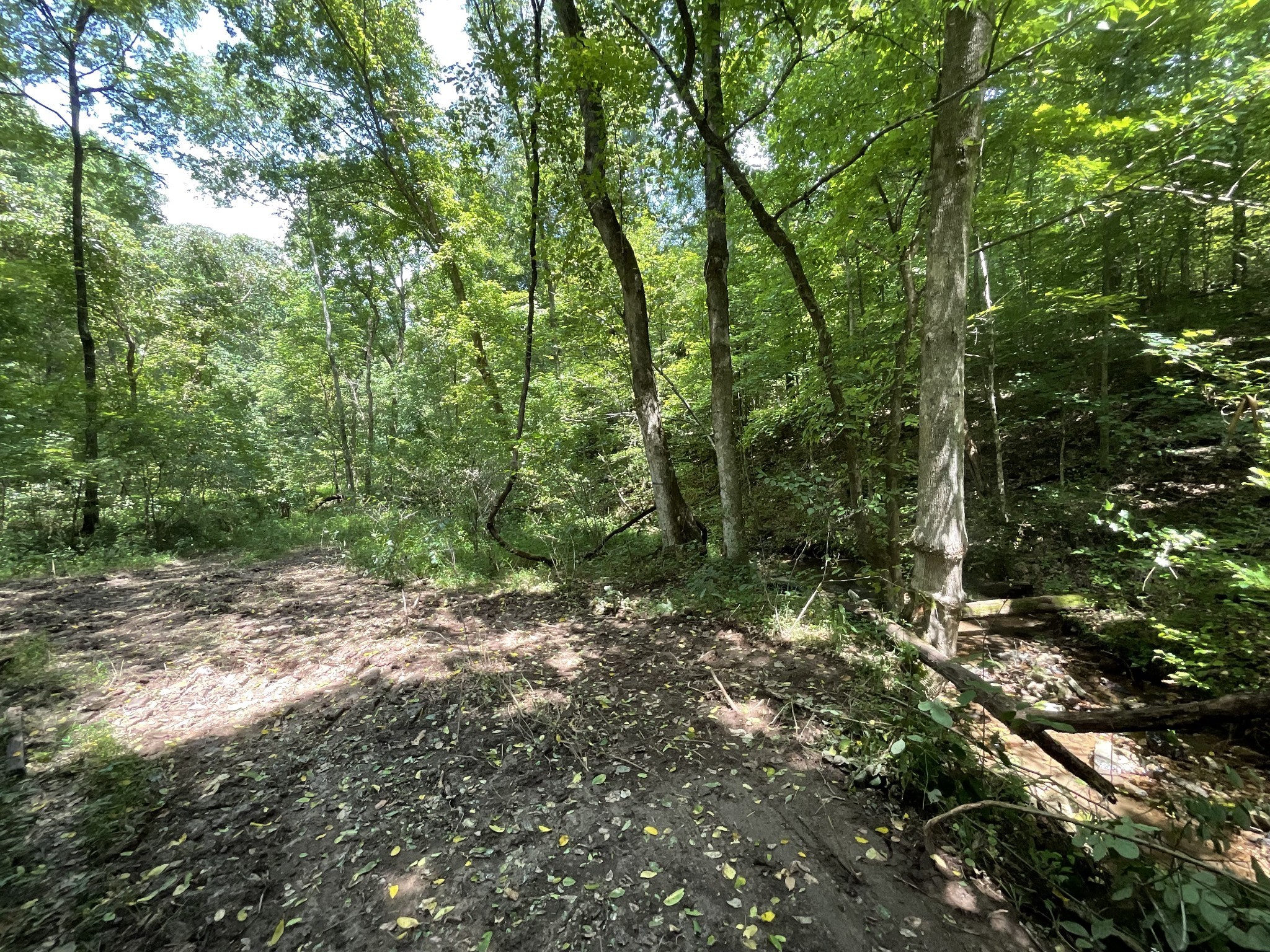 5 Lyle Hollow Road Palmyra, TN 37142 - Photo 27 of 57 Gallery Image 27