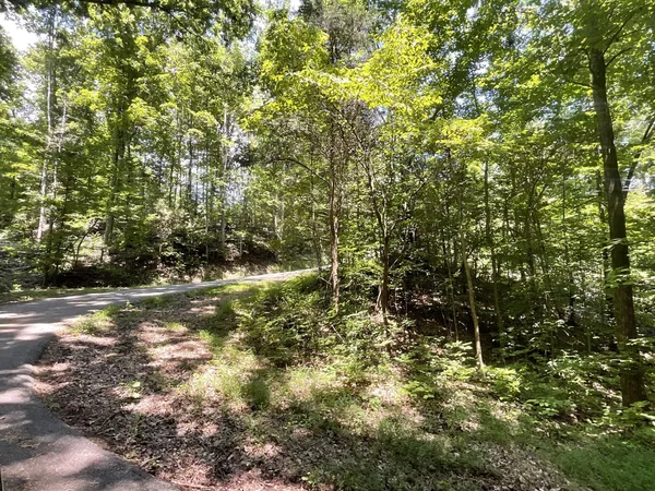 $136,000 | 5 Lyle Hollow Road, Palmyra, TN 37142