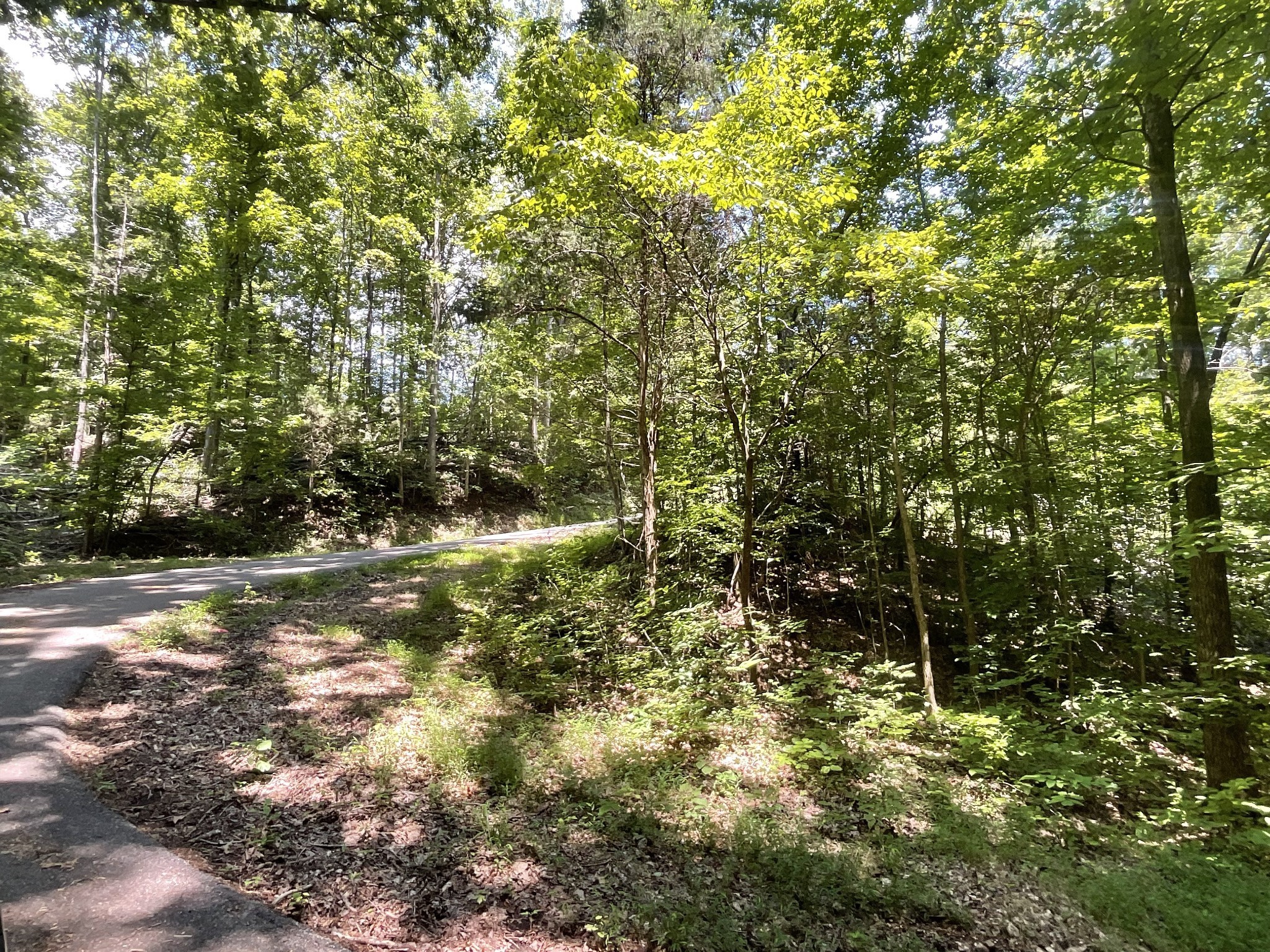 5 Lyle Hollow Road Palmyra, TN 37142 - Photo 28 of 57 Gallery Image 28
