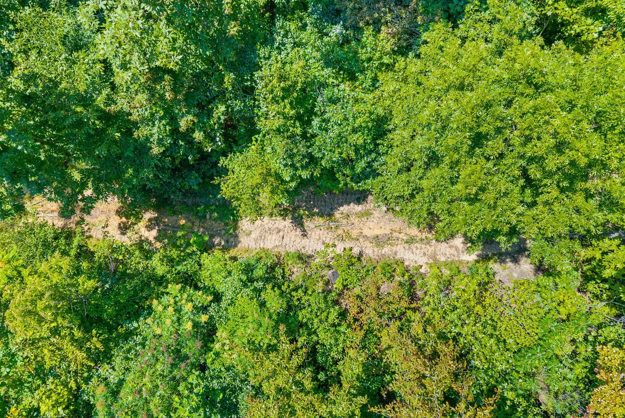 5 Lyle Hollow Road Palmyra, TN 37142 - Photo 3 of 57 Gallery Image 3