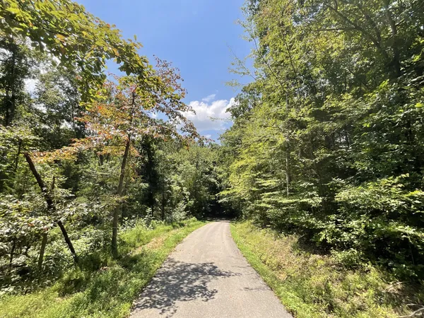 $136,000 | 5 Lyle Hollow Road, Palmyra, TN 37142