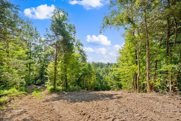 $136,000 | 5 Lyle Hollow Road, Palmyra, TN 37142