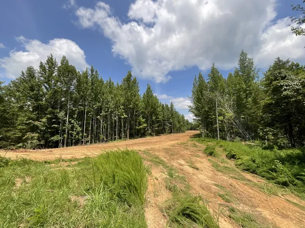 $136,000 | 5 Lyle Hollow Road, Palmyra, TN 37142