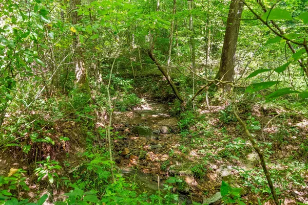 $136,000 | 5 Lyle Hollow Road, Palmyra, TN 37142