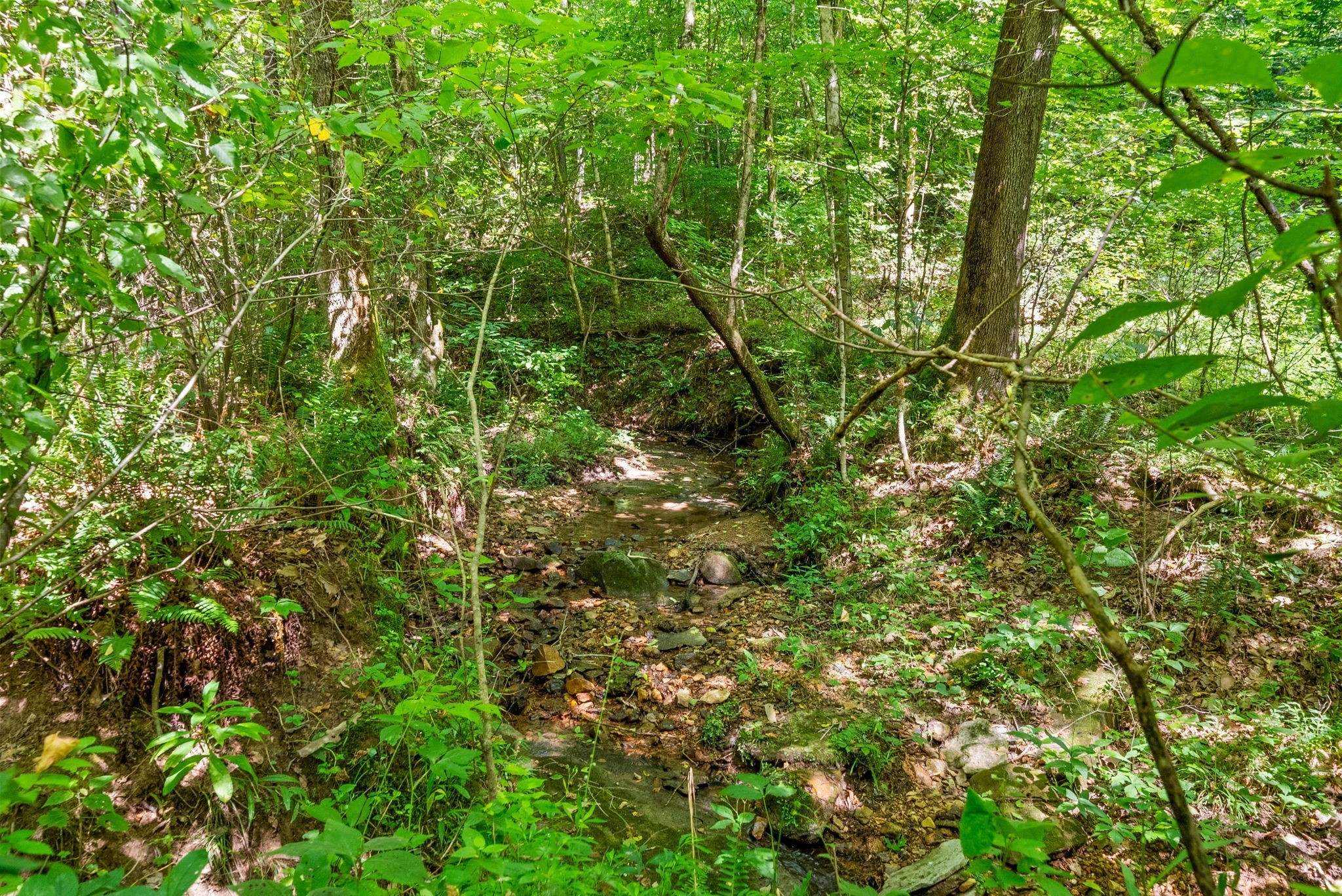5 Lyle Hollow Road Palmyra, TN 37142 - Photo 41 of 57 Gallery Image 41