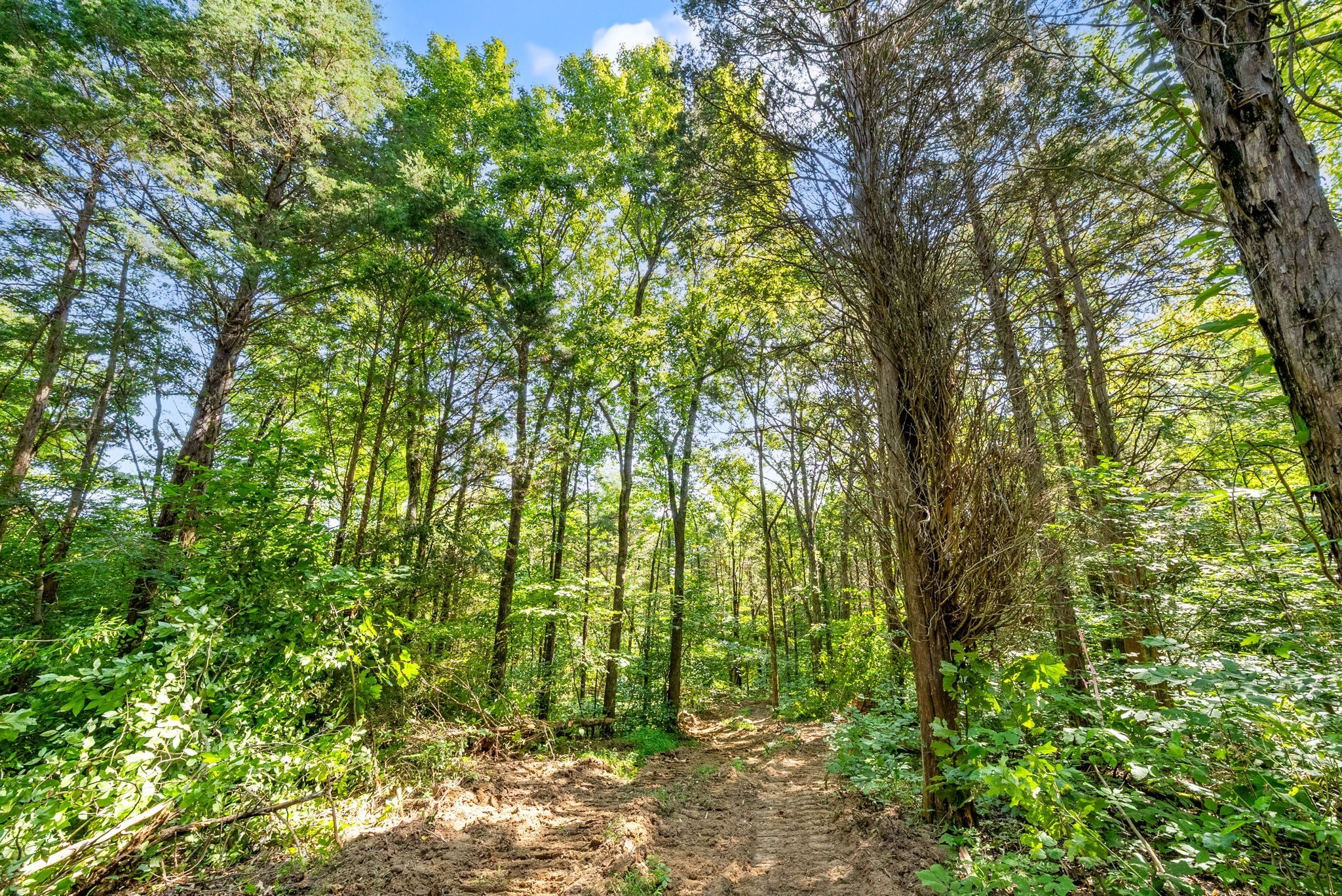 5 Lyle Hollow Road Palmyra, TN 37142 - Photo 42 of 57 Gallery Image 42