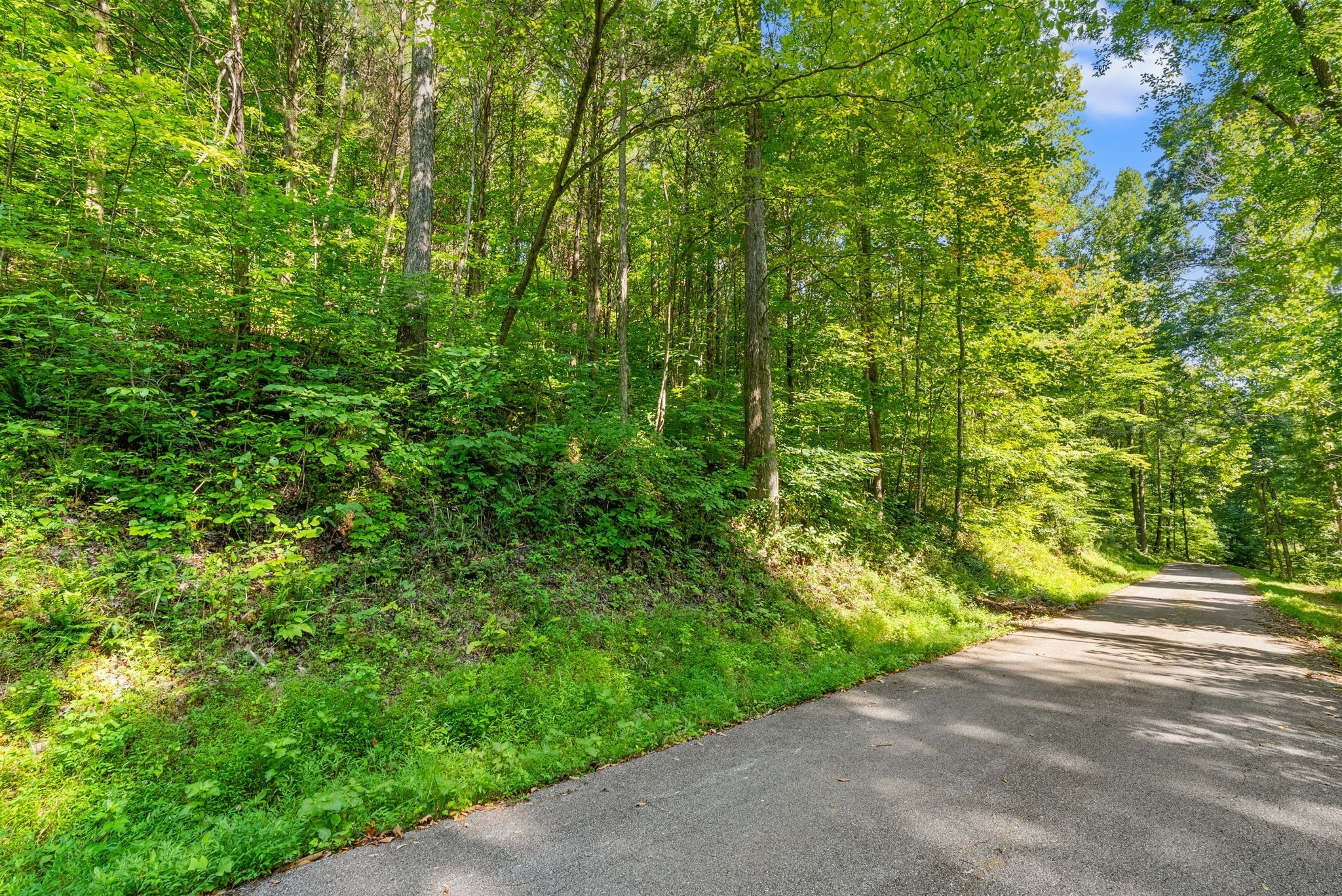 5 Lyle Hollow Road Palmyra, TN 37142 - Photo 44 of 57 Gallery Image 44