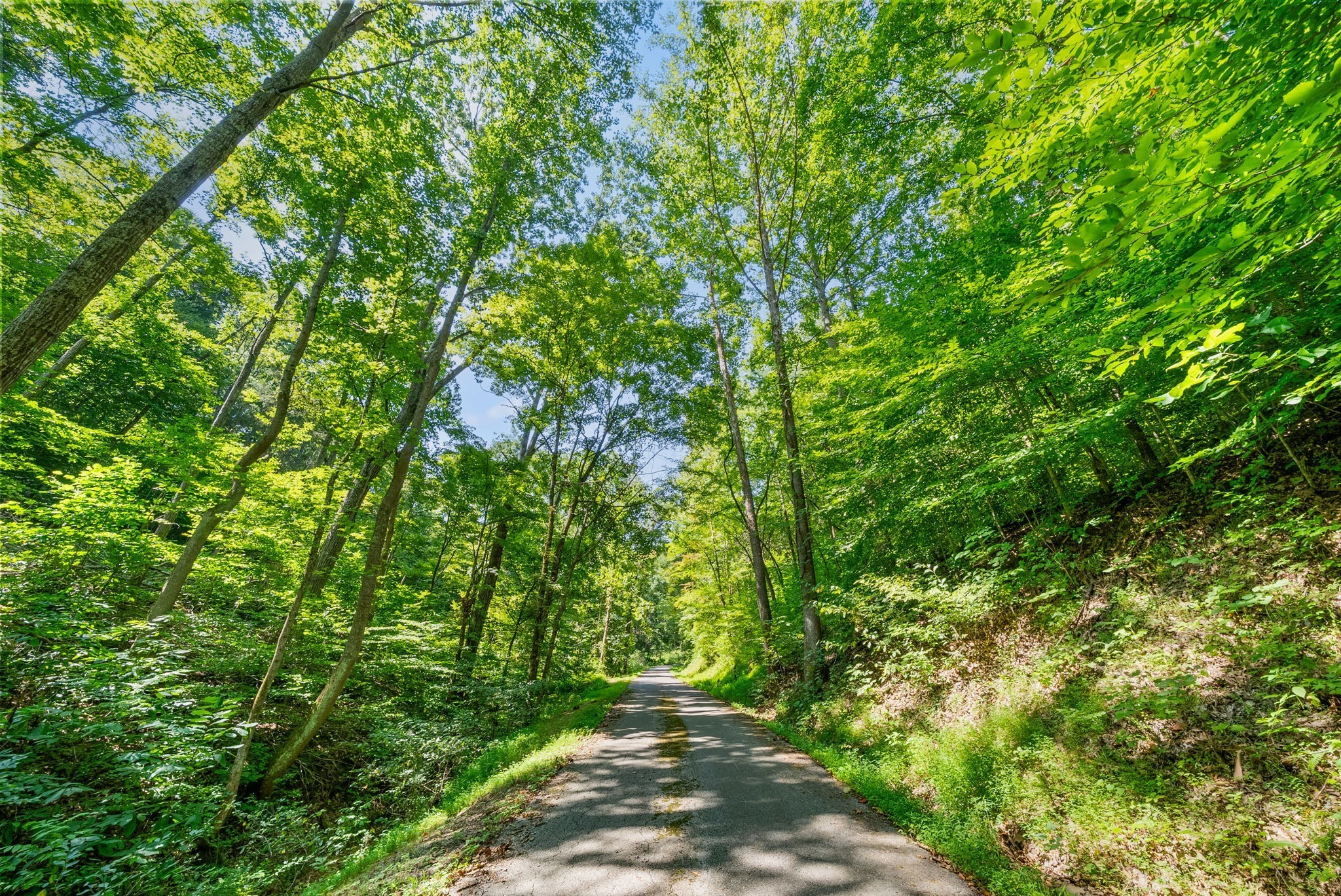 5 Lyle Hollow Road Palmyra, TN 37142 - Photo 45 of 57 Gallery Image 45