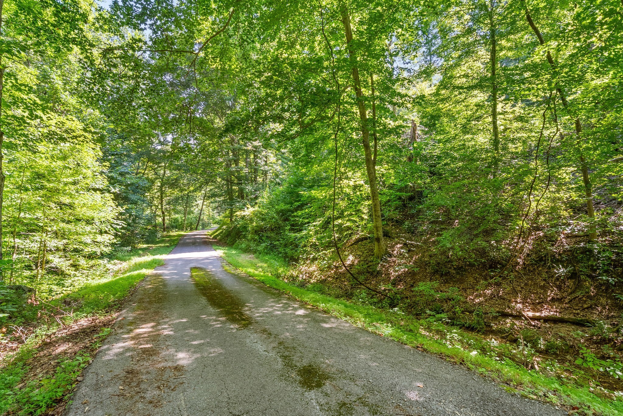 5 Lyle Hollow Road Palmyra, TN 37142 - Photo 46 of 57 Gallery Image 46