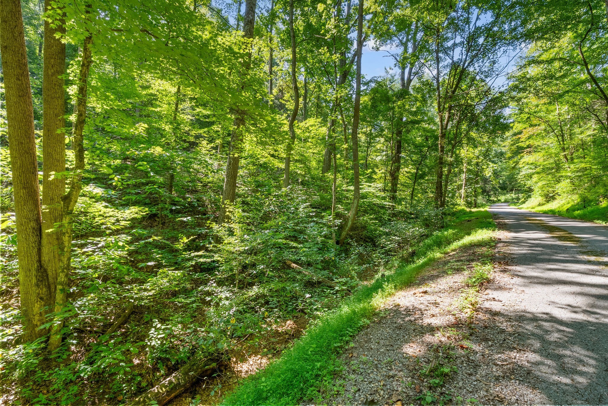 5 Lyle Hollow Road Palmyra, TN 37142 - Photo 47 of 57 Gallery Image 47