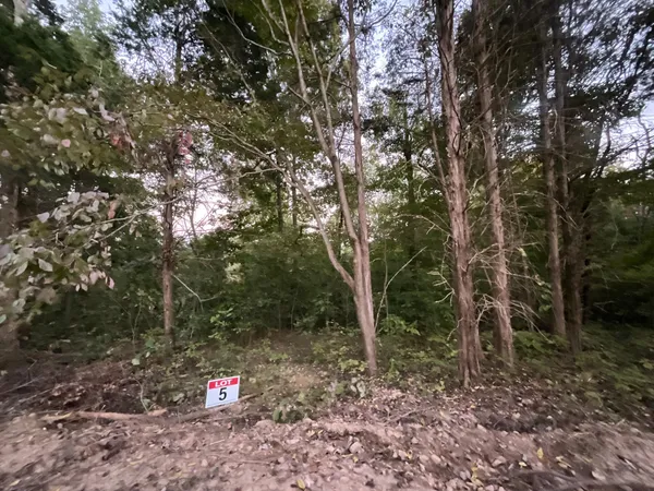 $136,000 | 5 Lyle Hollow Road, Palmyra, TN 37142