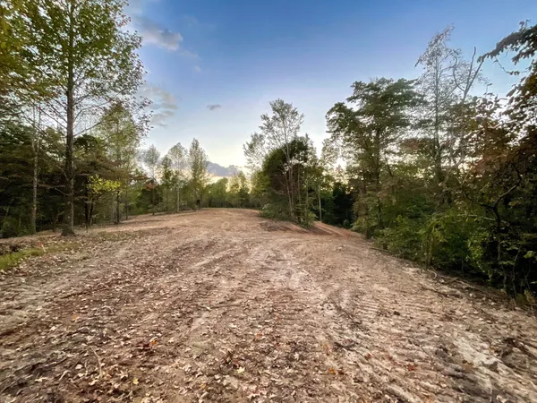 $136,000 | 5 Lyle Hollow Road, Palmyra, TN 37142