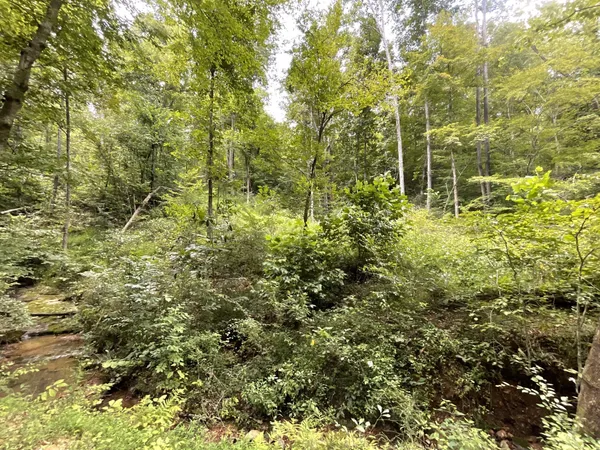 $136,000 | 5 Lyle Hollow Road, Palmyra, TN 37142