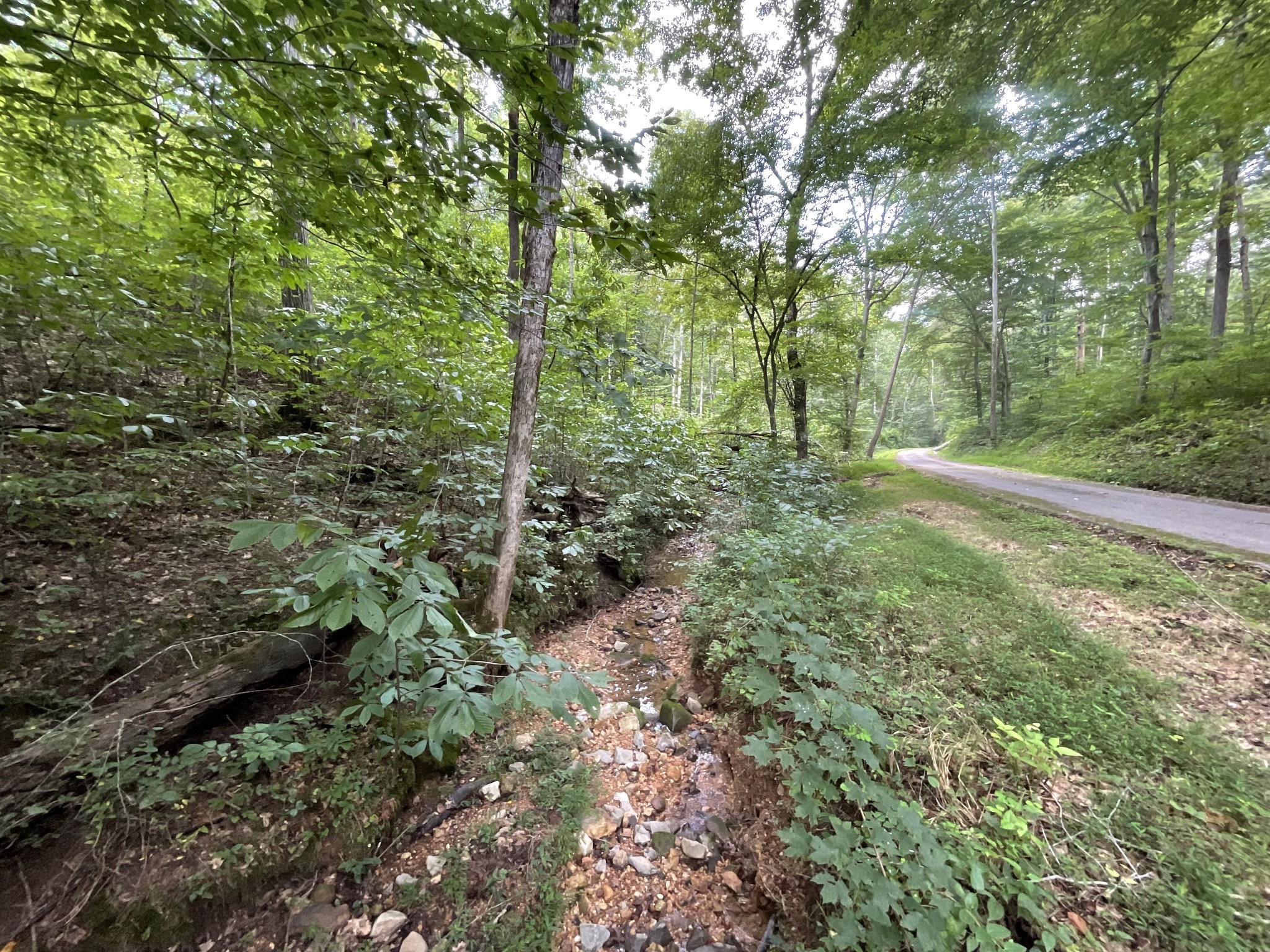5 Lyle Hollow Road Palmyra, TN 37142 - Photo 10 of 57 Gallery Image 10