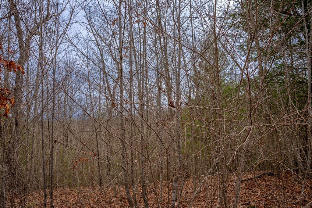 Lot 63 Lake Wood Road Murphy, NC 28906 - Photo 21 of 28