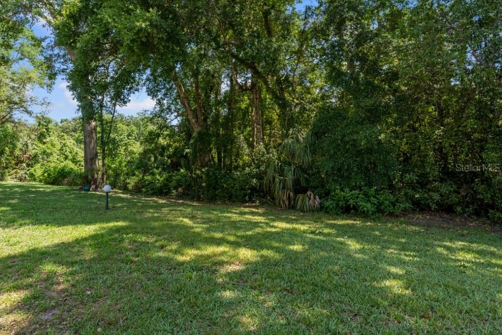 7080 River Run Boulevard Weeki Wachee, FL 34607 - Photo 24 of 39