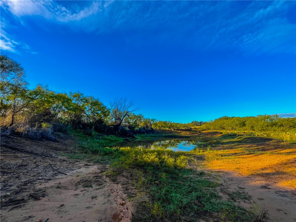 272 Rd Rochelle Tx 76872 Road Rochelle, TX 76872 - Photo 11 of 26