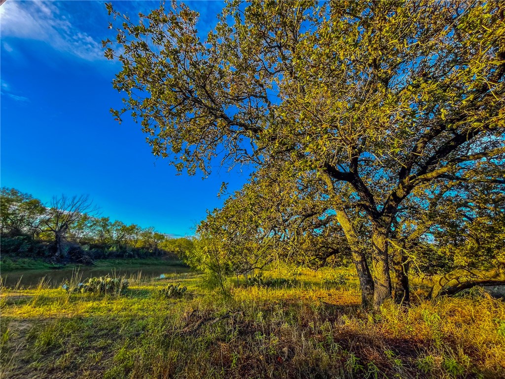 272 Rd Rochelle Tx 76872 Road Rochelle, TX 76872 - Photo 12 of 26