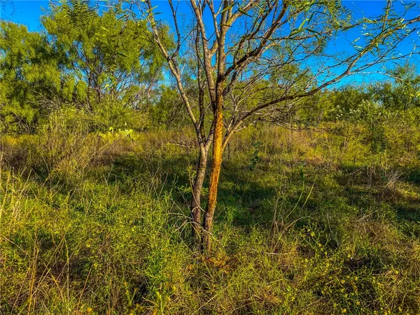 $1,290,000 | 272 Rd Rochelle Tx 76872 Road, Rochelle, TX 76872
