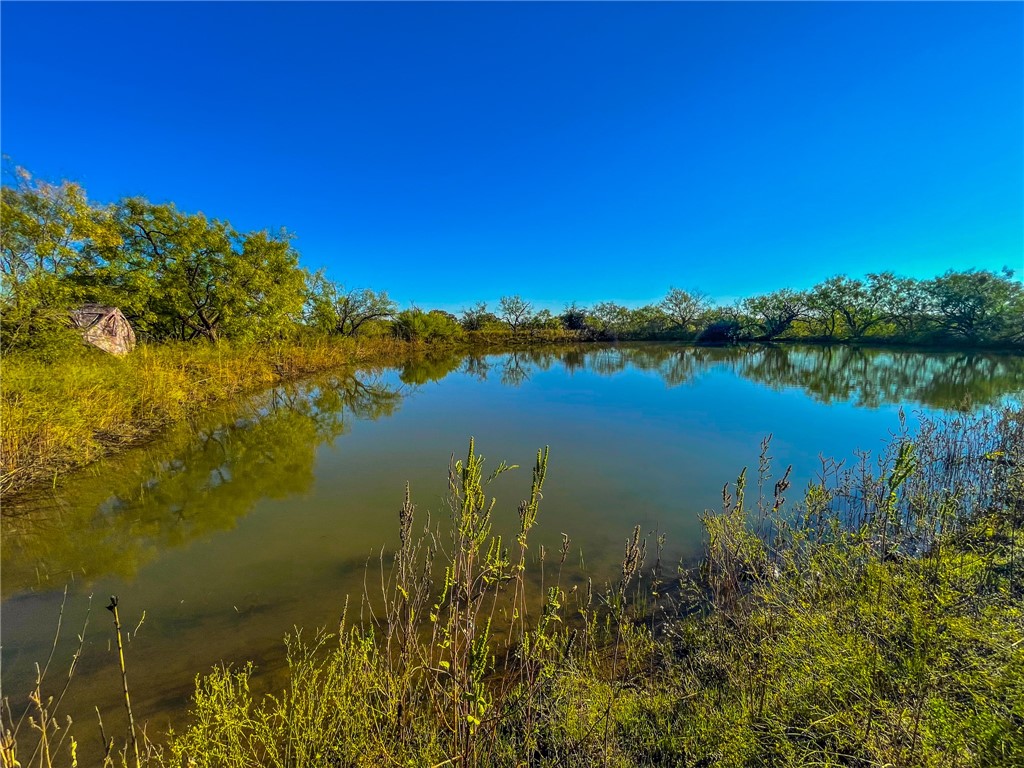 272 Rd Rochelle Tx 76872 Road Rochelle, TX 76872 - Photo 16 of 26