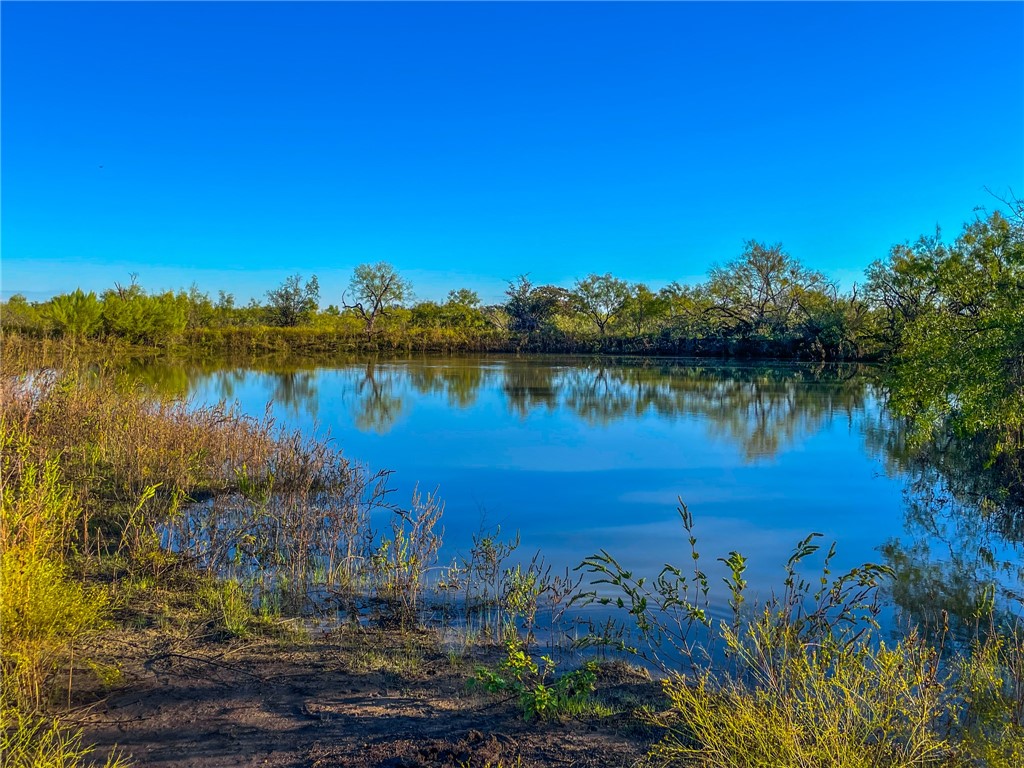 272 Rd Rochelle Tx 76872 Road Rochelle, TX 76872 - Photo 20 of 26