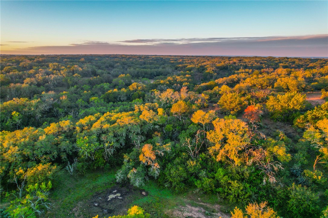 272 Rd Rochelle Tx 76872 Road Rochelle, TX 76872 - Photo 21 of 26