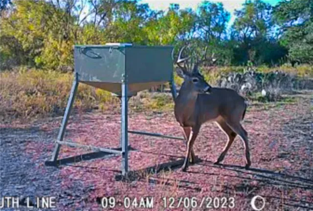 $1,290,000 | 272 Rd Rochelle Tx 76872 Road, Rochelle, TX 76872