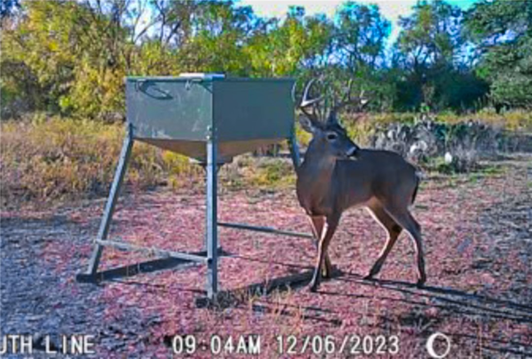 272 Rd Rochelle Tx 76872 Road Rochelle, TX 76872 - Photo 23 of 26