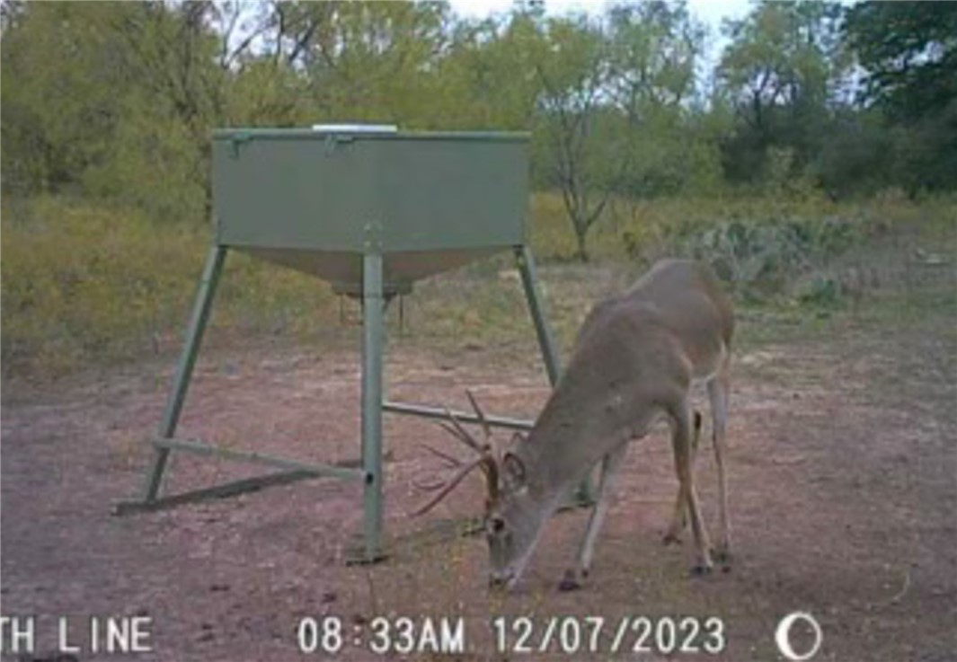 272 Rd Rochelle Tx 76872 Road Rochelle, TX 76872 - Photo 24 of 26