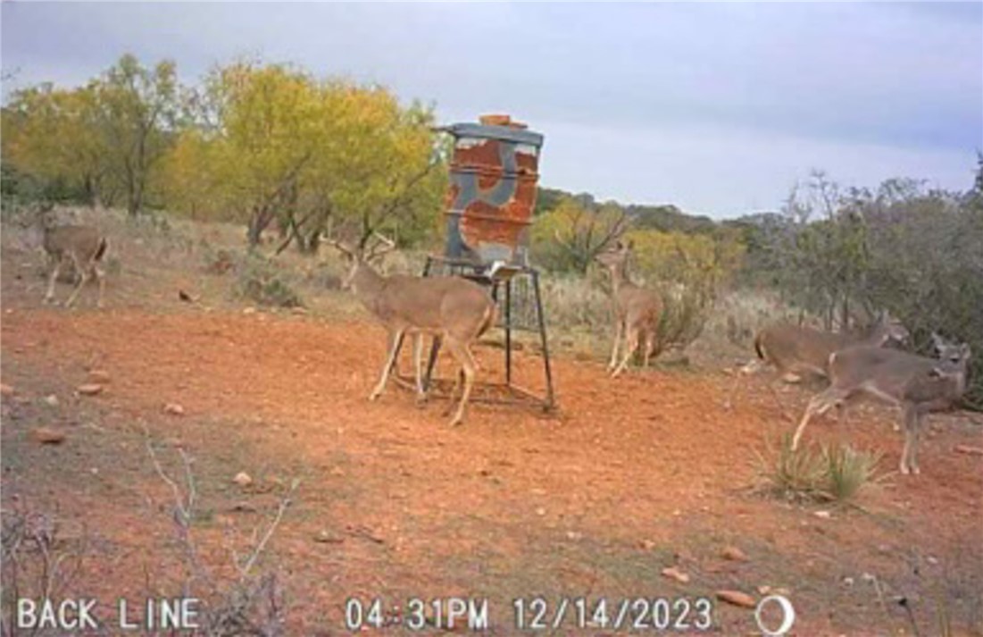 272 Rd Rochelle Tx 76872 Road Rochelle, TX 76872 - Photo 25 of 26