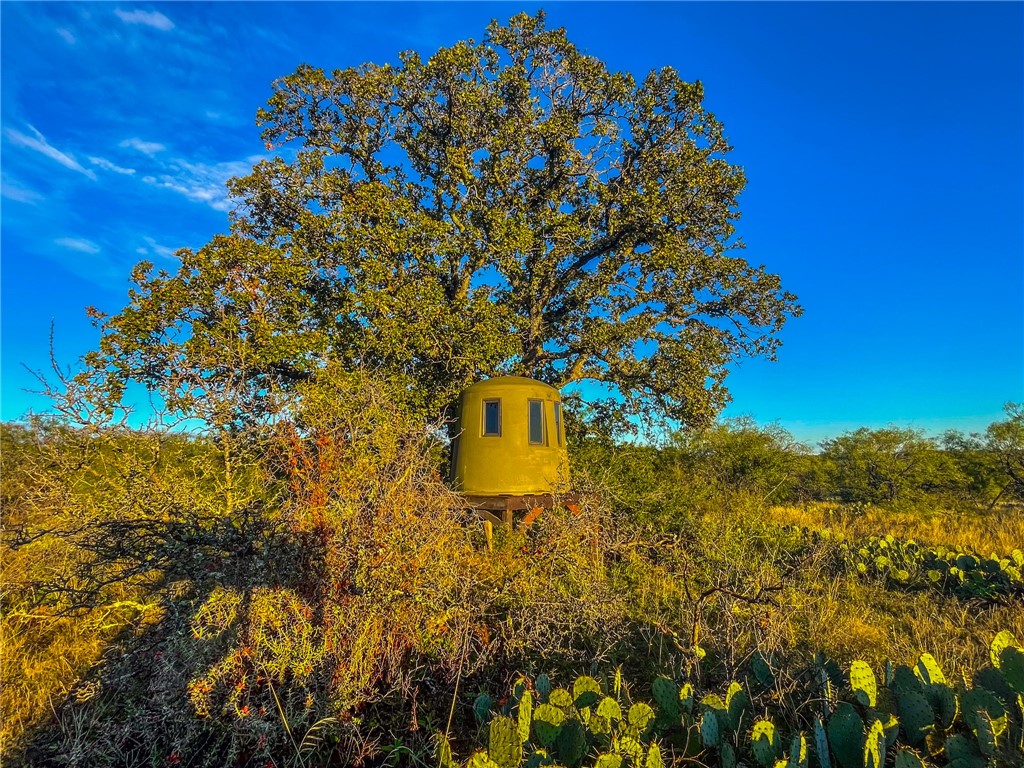 272 Rd Rochelle Tx 76872 Road Rochelle, TX 76872 - Photo 10 of 26