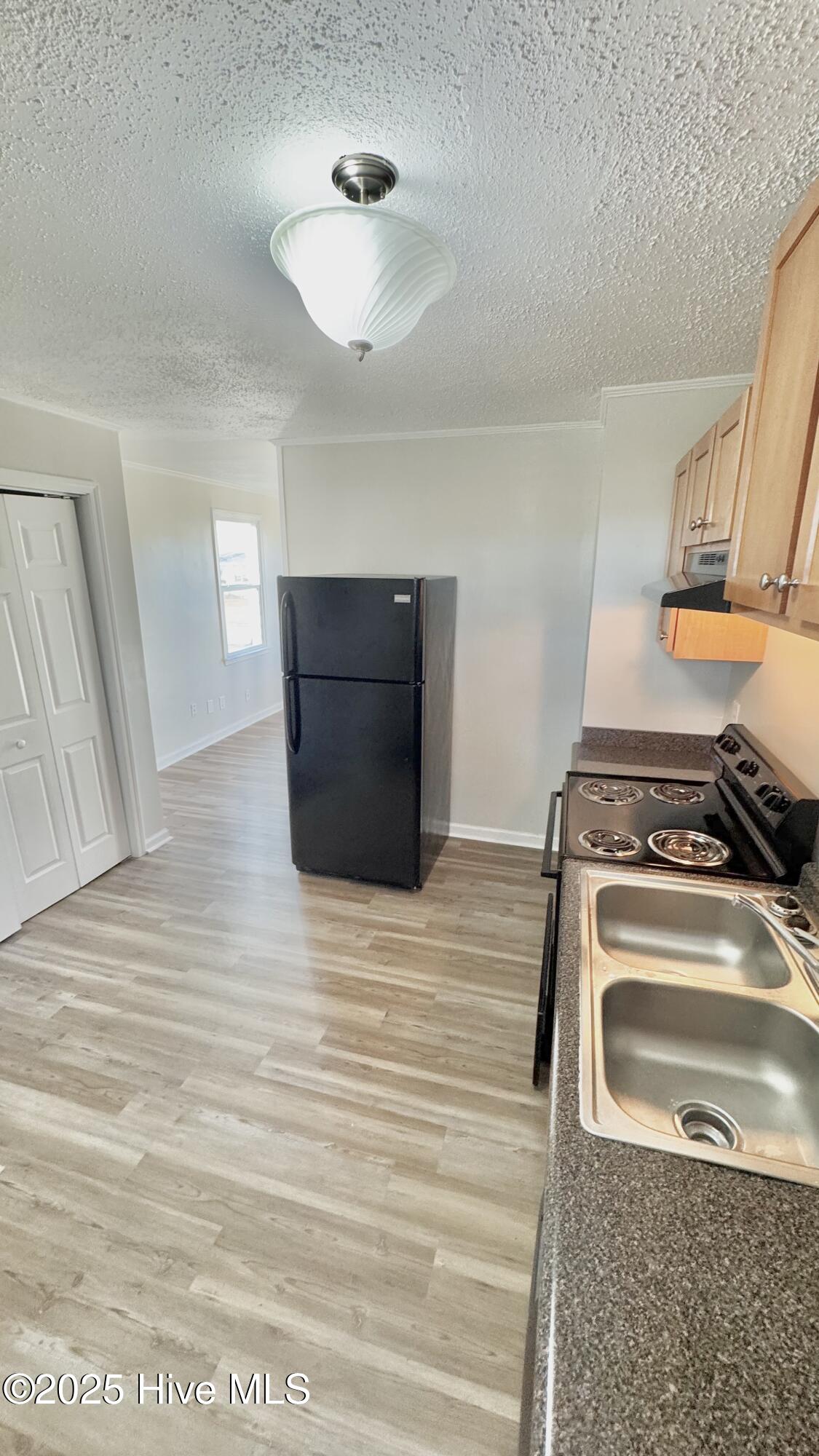 312 Starling Street Jacksonville, NC 28540 - Photo 5 of 10 IMG_3450