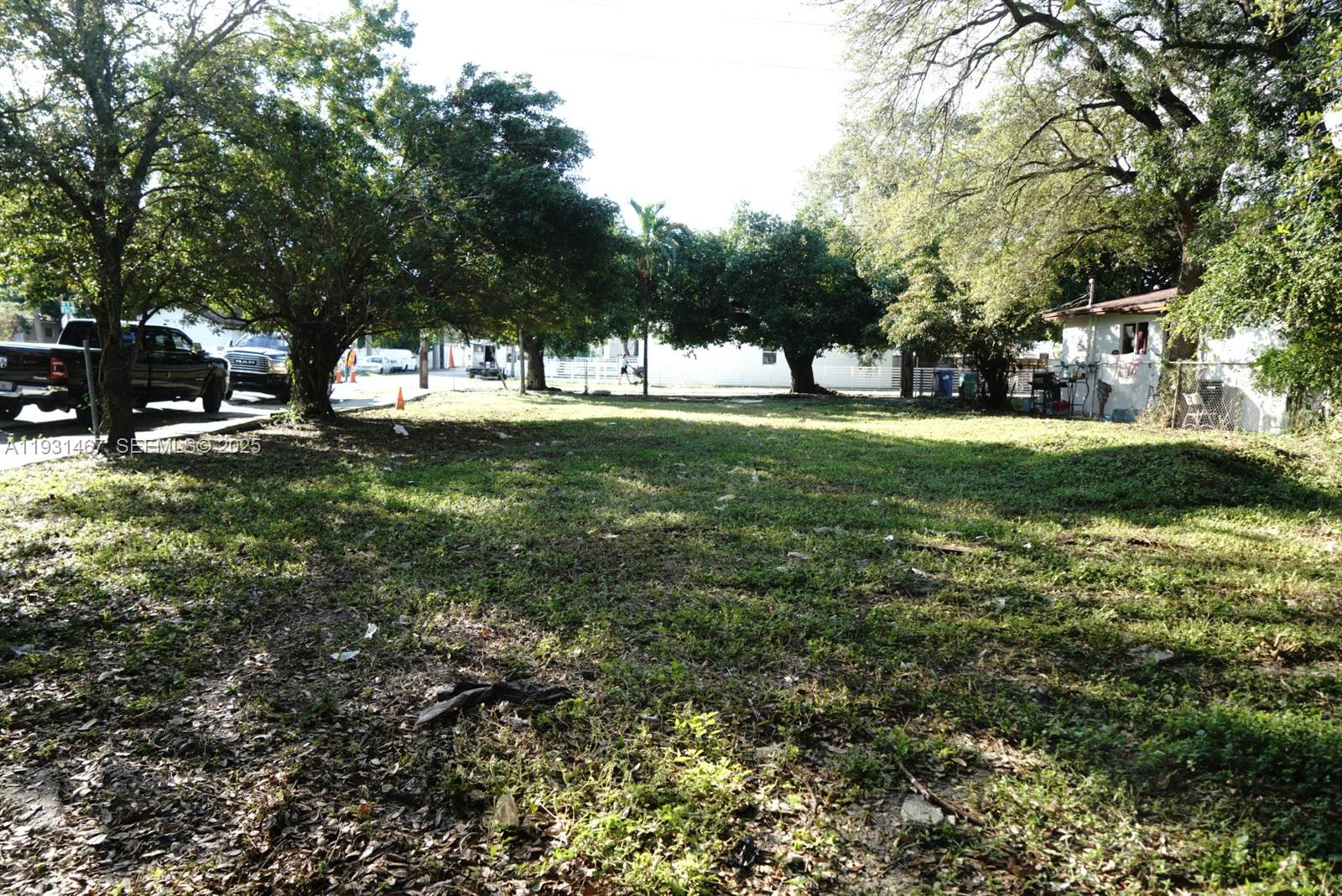 a view of a trees with a yard