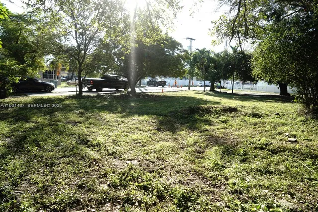 a view of yard with tree