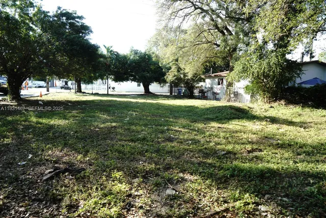a view of a trees in a yard
