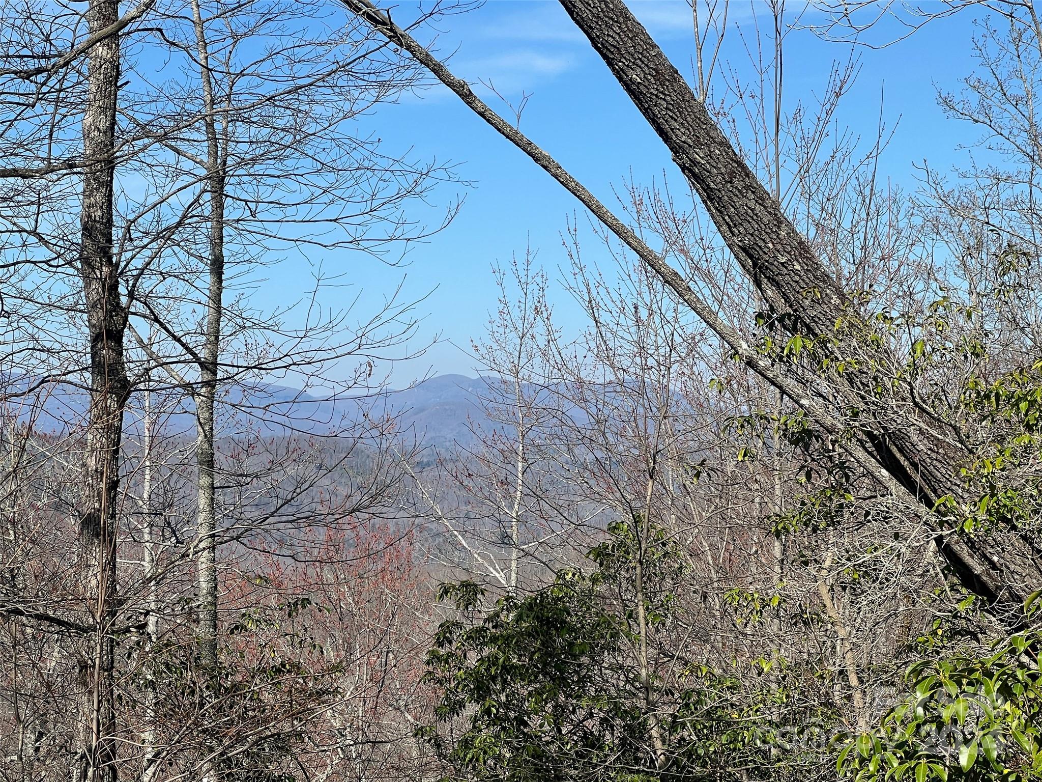 999 Ridge Road Rosman, NC 28772 - Photo 3 of 20 Gallery Image 3