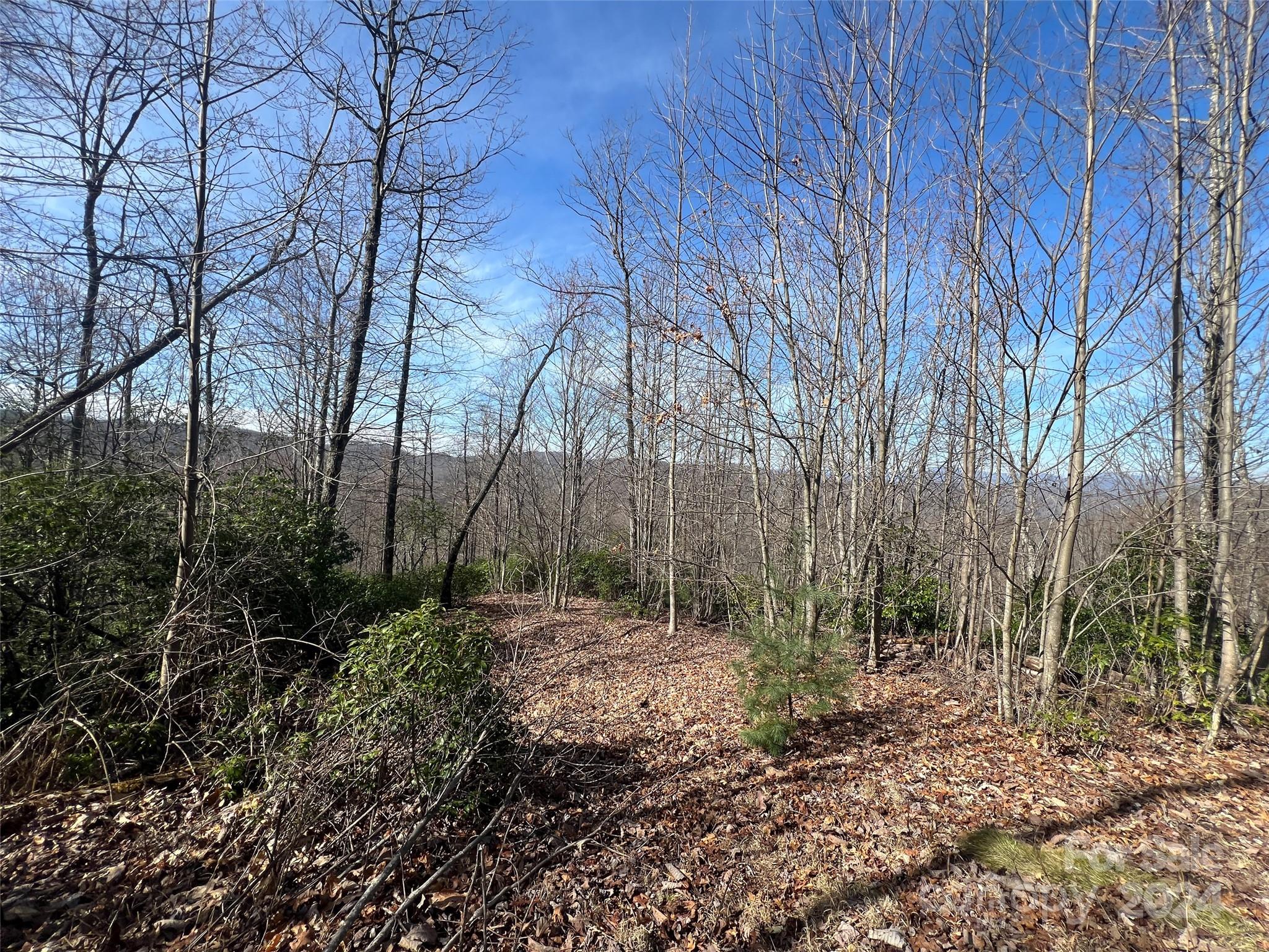 999 Ridge Road Rosman, NC 28772 - Photo 4 of 20 Gallery Image 4