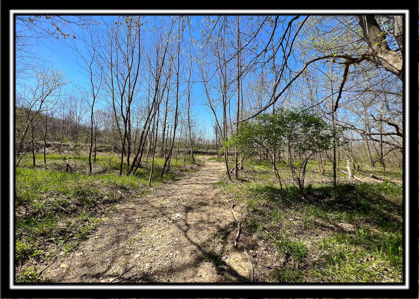 0 North Musselman Station Road Frankfort, OH 45628 - Photo 45 of 51 CT-46
