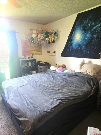 $375,000 | 1460 Pine Street, Norwood, CO 81423