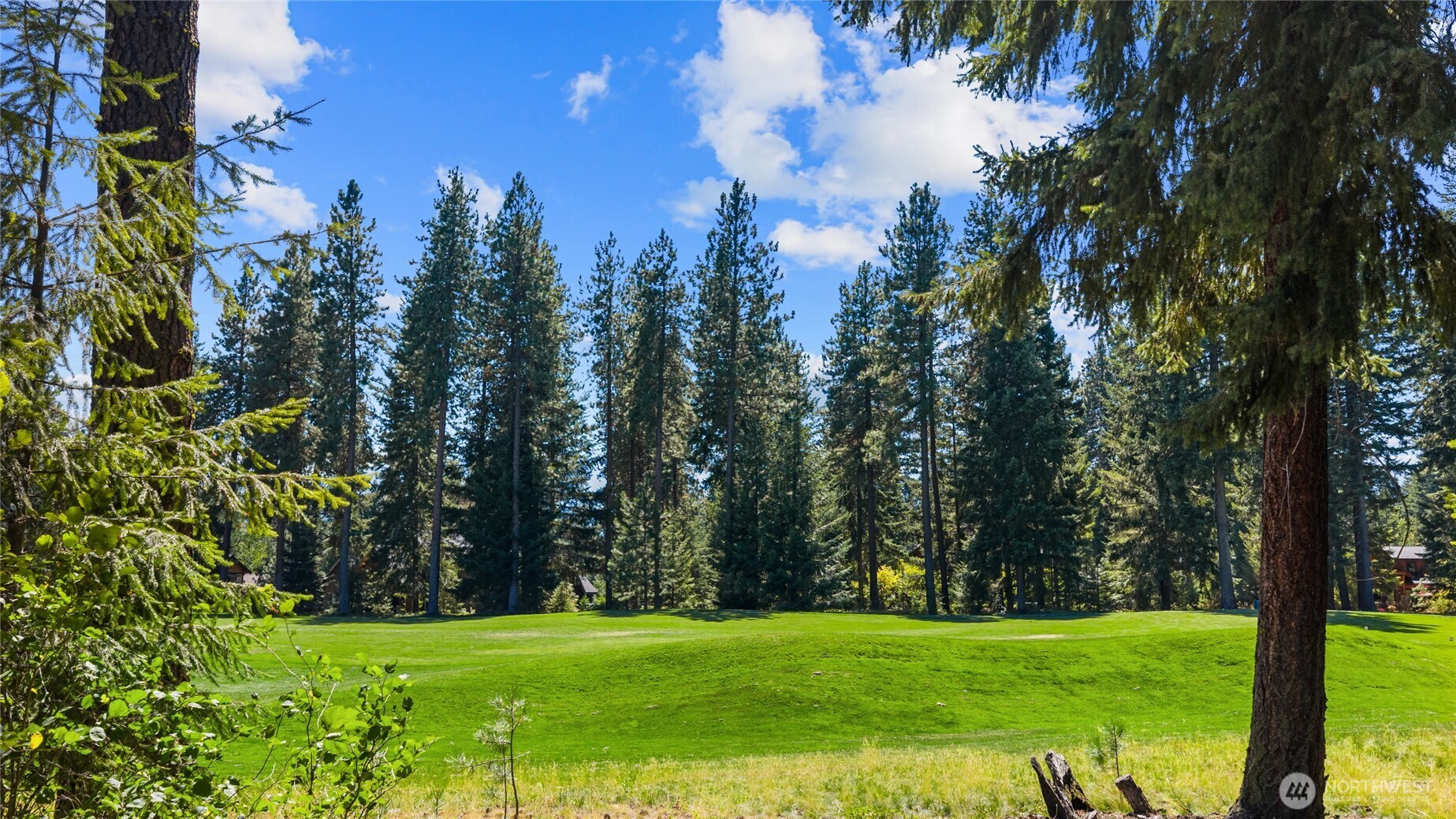 110 Larkspur Loop Cle Elum, WA 98922 - Photo 33 of 40 a view of a grassy field with trees in the background