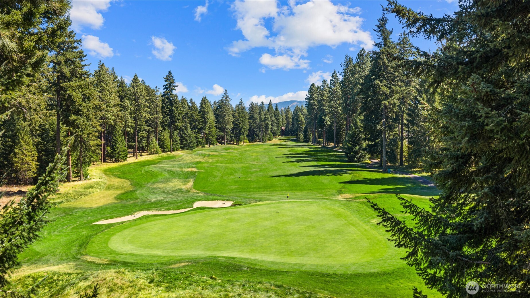 110 Larkspur Loop Cle Elum, WA 98922 - Photo 37 of 40 a view of a golf course with a trees