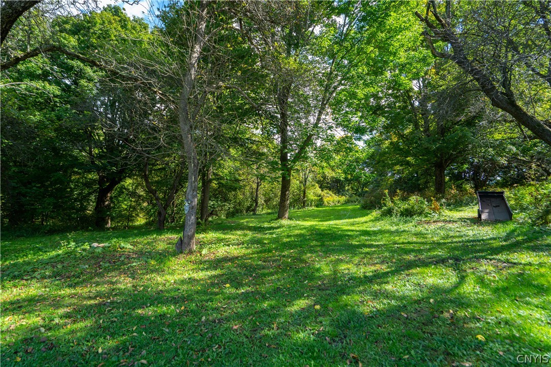 240 Brennan Road Columbia, NY 13357 - Photo 34 of 50 Gallery Image 34