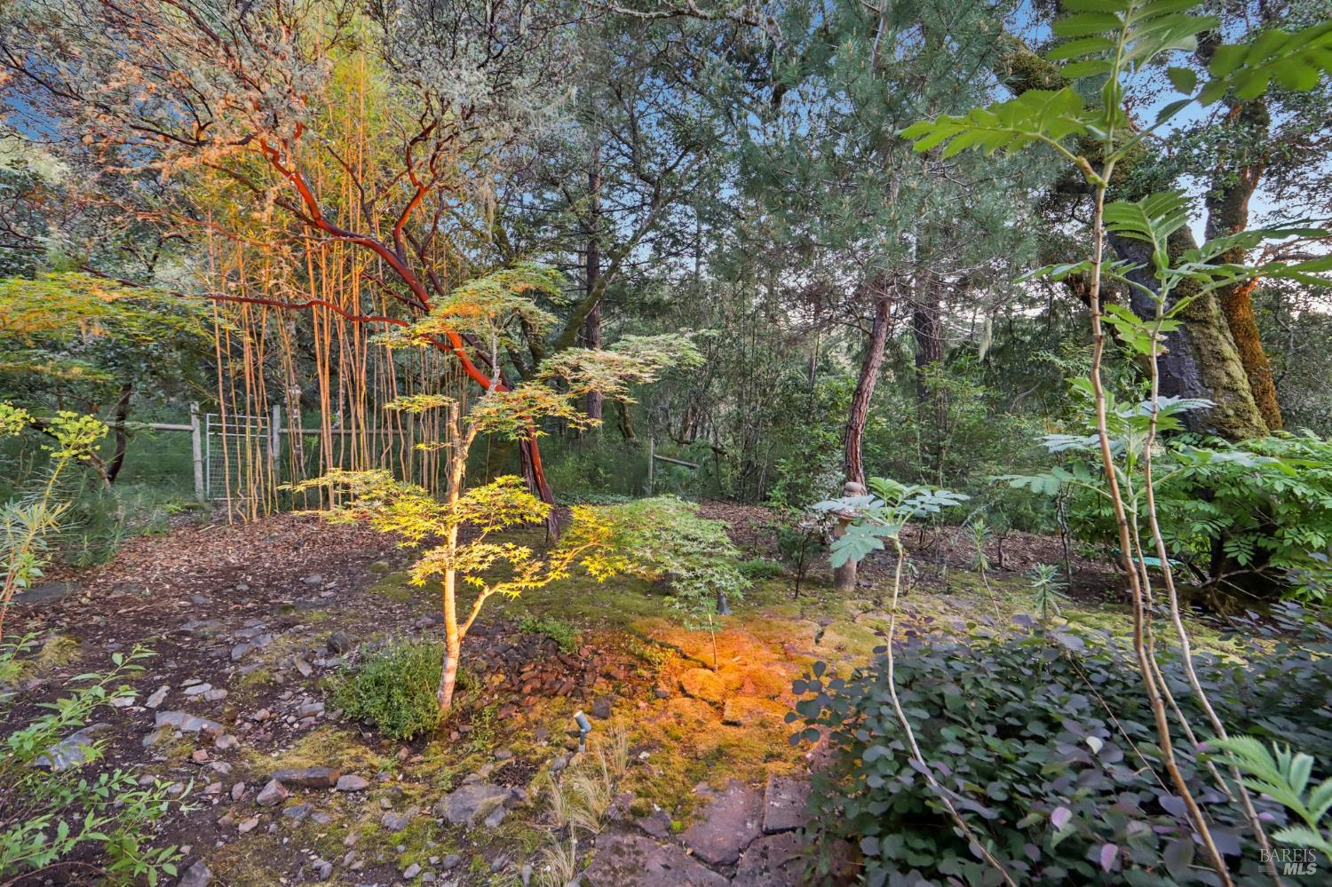 2515 Stepps Road Sebastopol, CA 95472 - Photo 51 of 93
