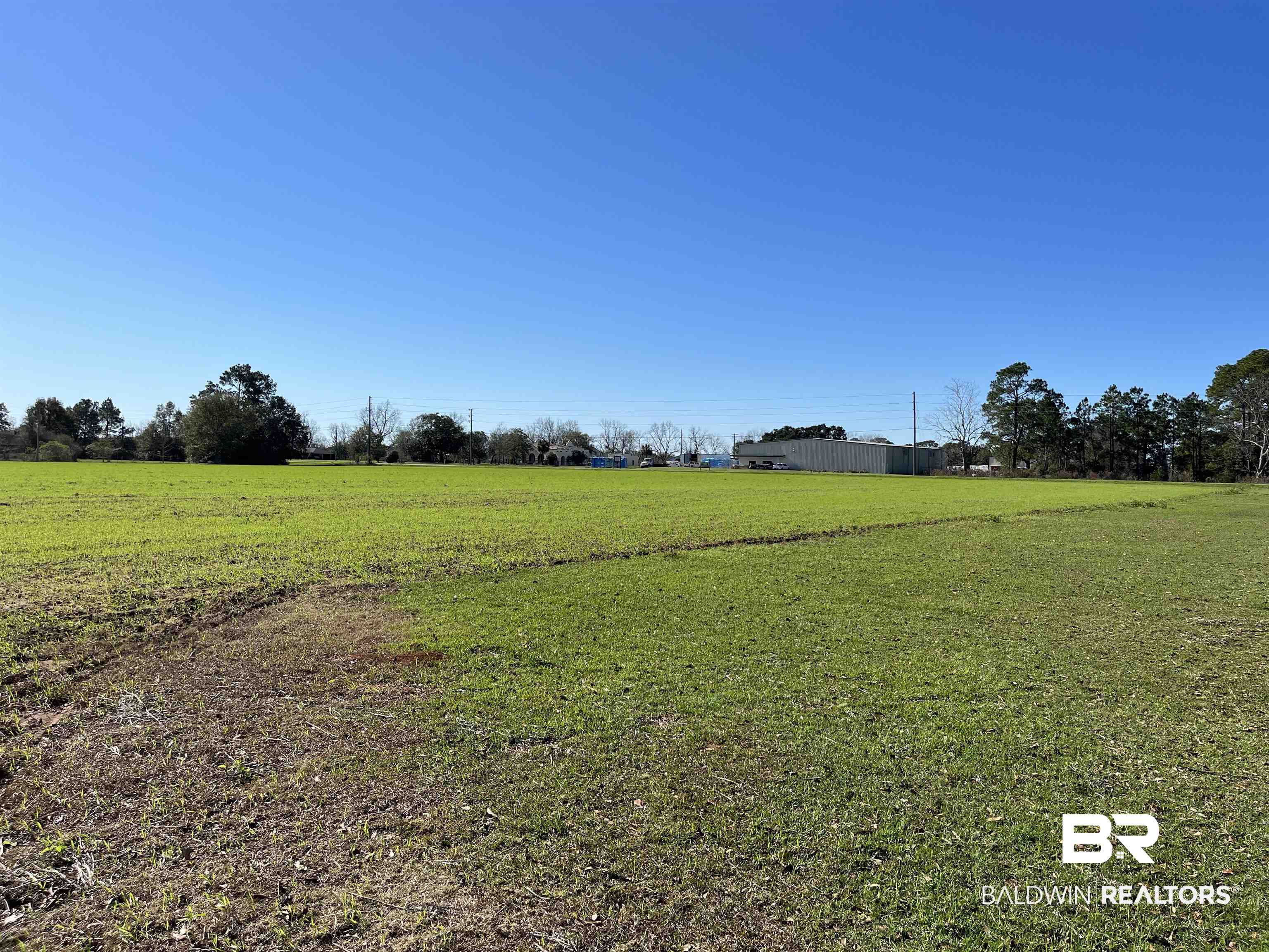 10624 County Road 65 Foley, AL 36535 - Photo 4 of 5
