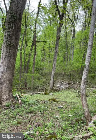 a view of outdoor space and green space