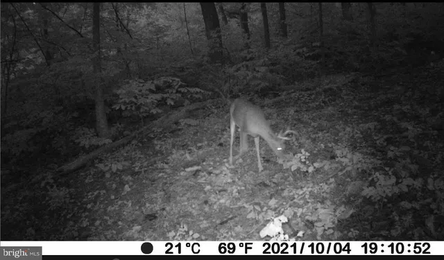 a view of a dry yard