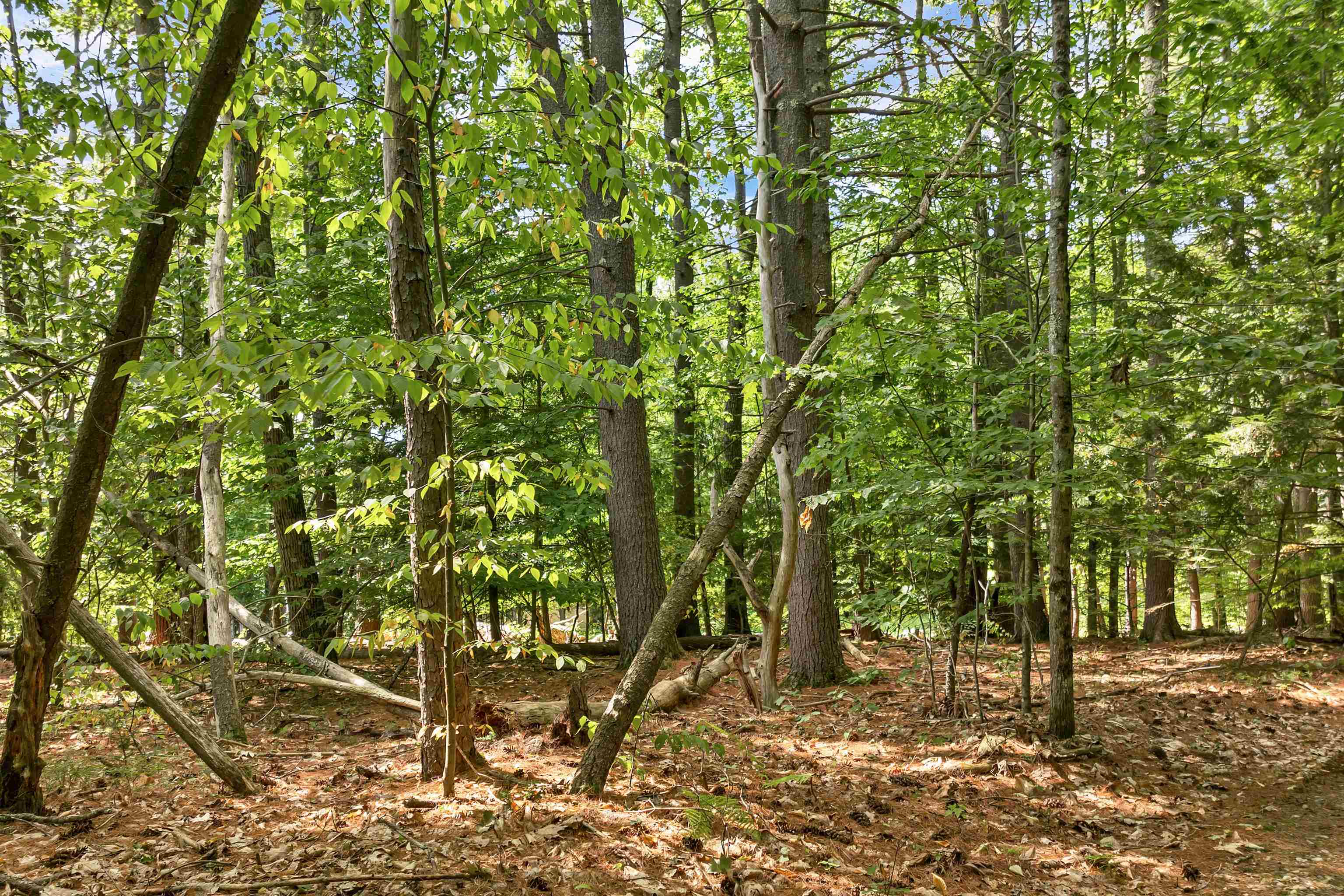 7-1 Nh 03276 Road Tilton, NH 03276 - Photo 18 of 28